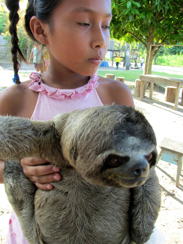 A little girl and her sloth