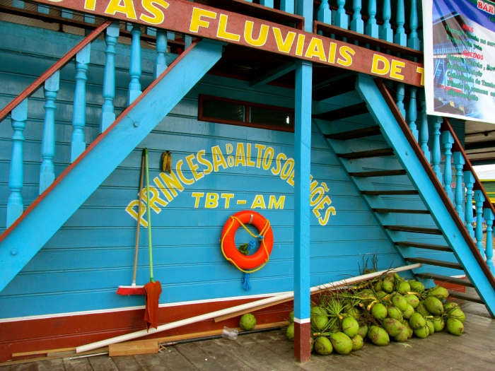 Coconuts on the docks at Tabitinga