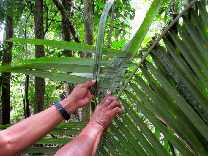 Aníbal showing us how to weave palms for a shelter or a thatched roof